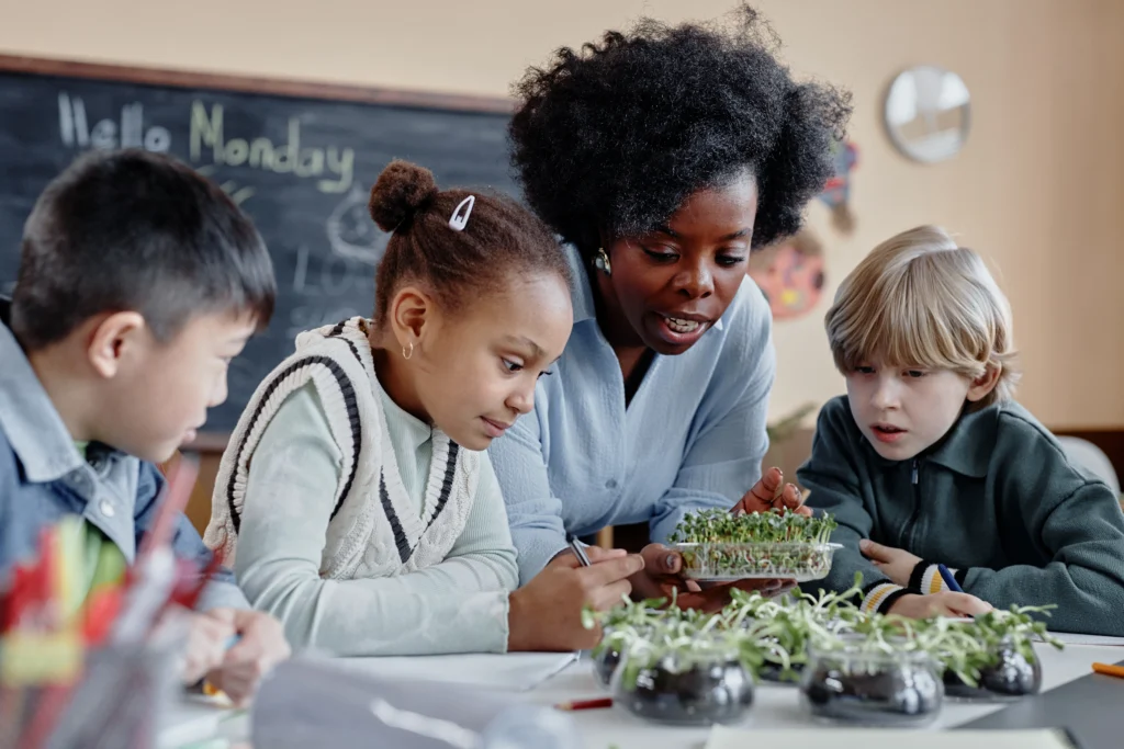 atividades com horta na educação infantil