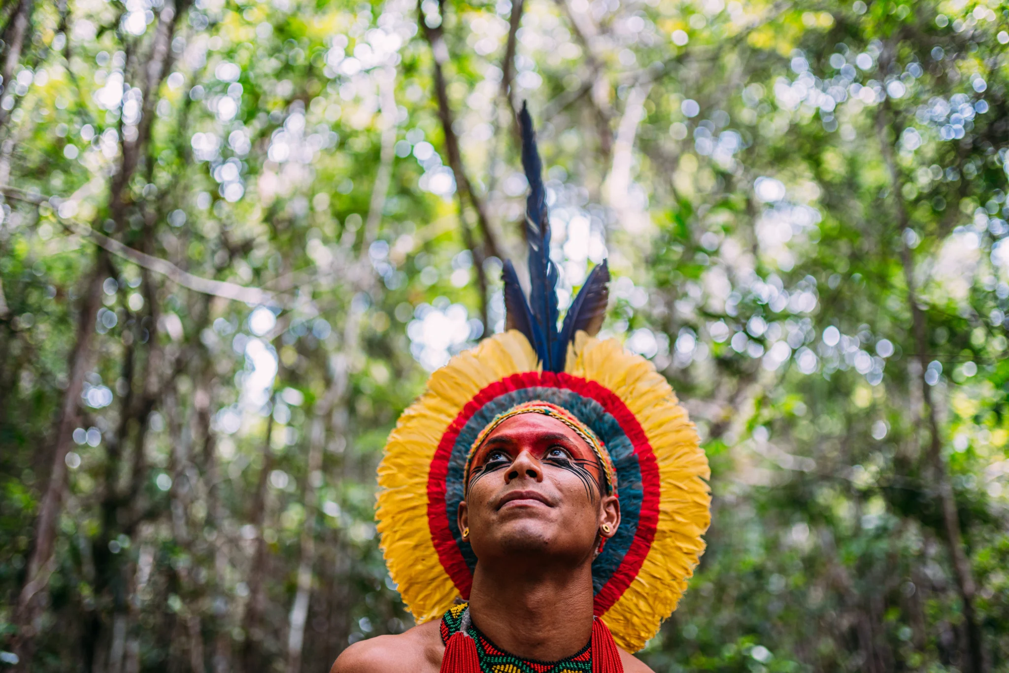 Artistas indígenas brasileiros