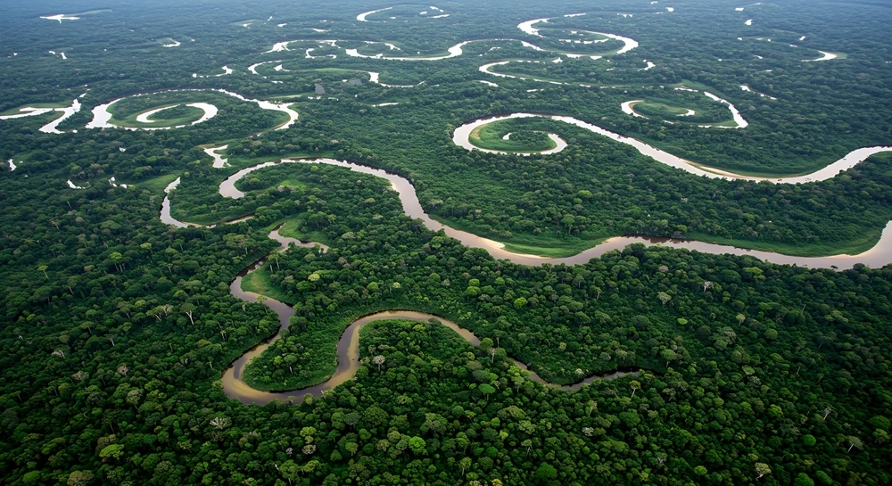Amazônia, maior floresta tropical do planeta, ocupa cerca de 49% do território brasileiro. Foto: Shutterstock
