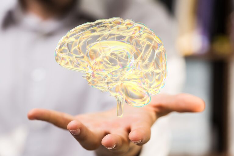 neurociência na educação