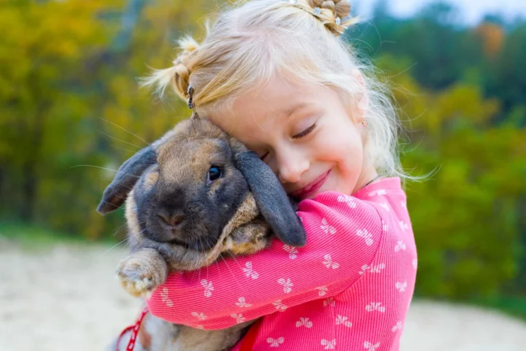 animais para crianças