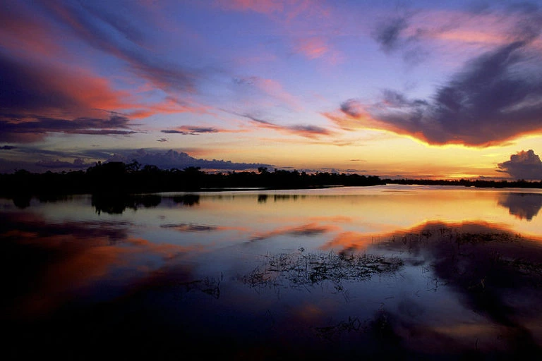 Parque Nacional do Jaú. Foto: Diego Lezama