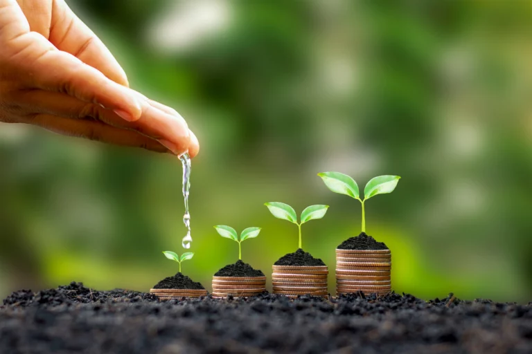 sustentabilidade-finianceira