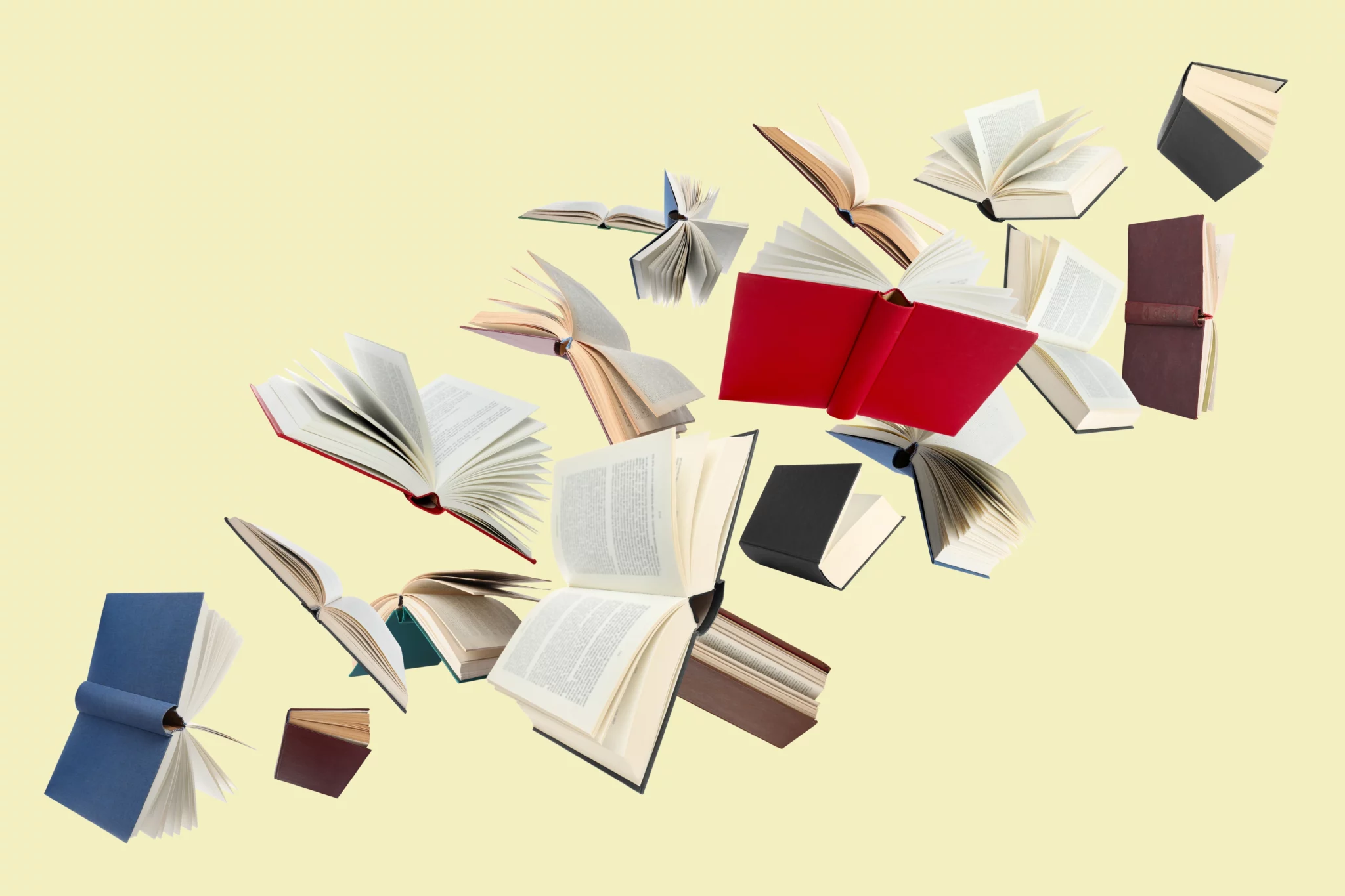 dia nacional da literatura brasileira