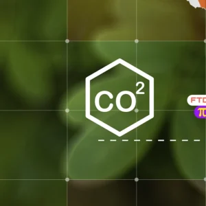 Crédito de carbono