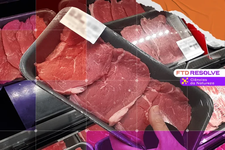 O futuro da carne