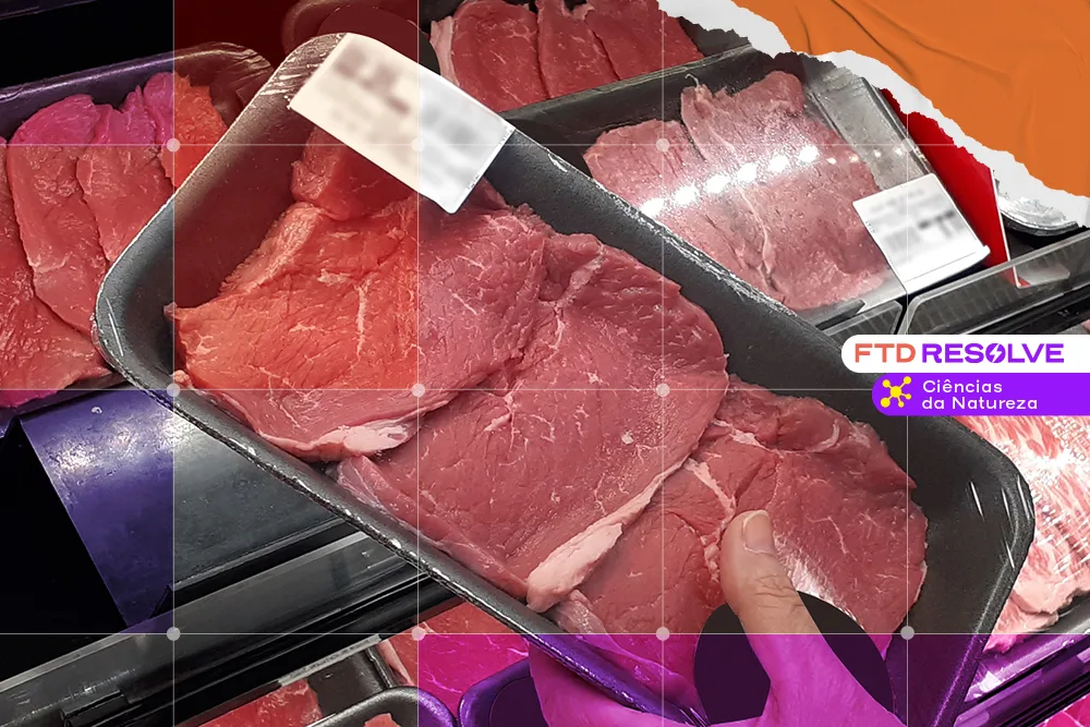 O futuro da carne