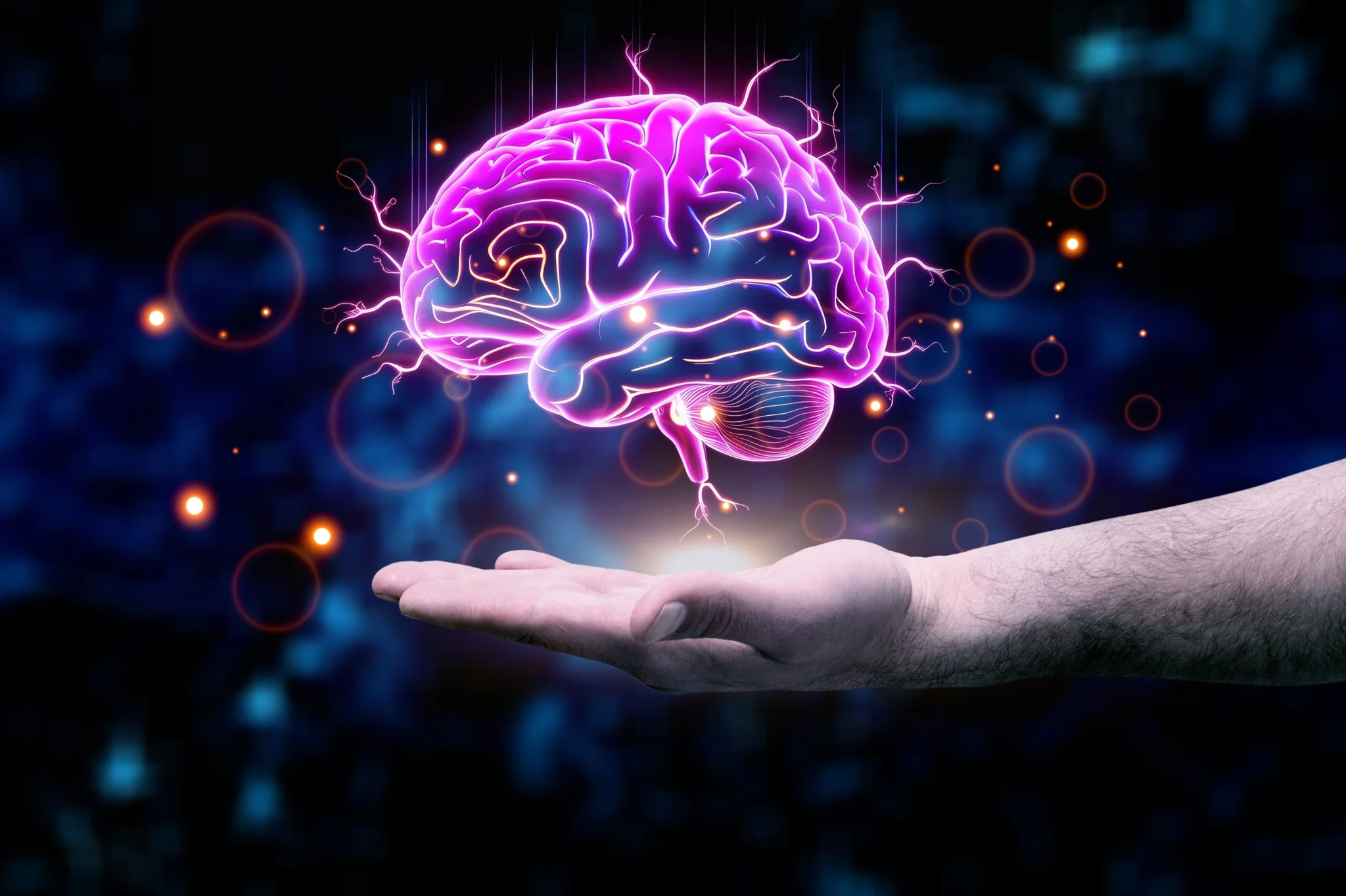 plasticidade cerebal: o cérebro que nunca pára de aprender