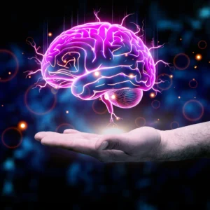 plasticidade cerebal: o cérebro que nunca pára de aprender