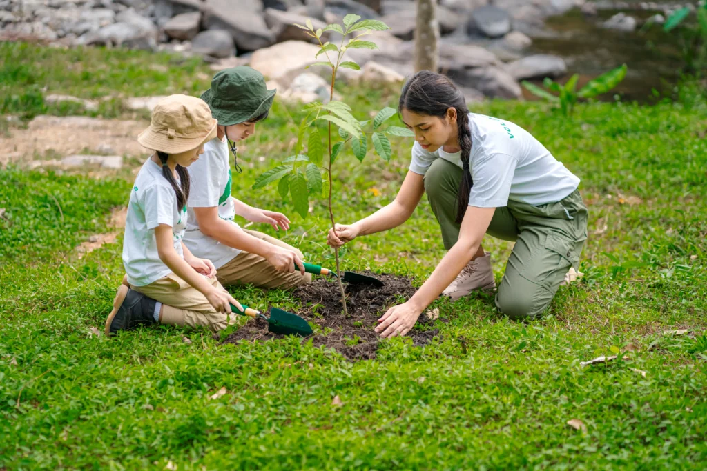 voluntariado como atividade extracurricular