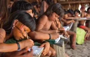 escola indigena