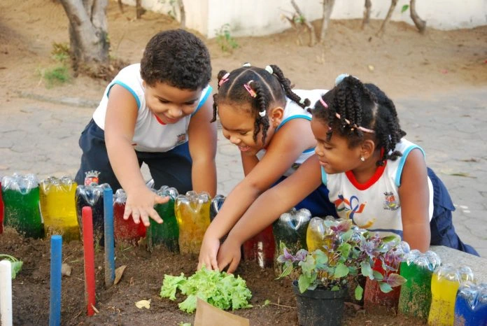 horta na escola