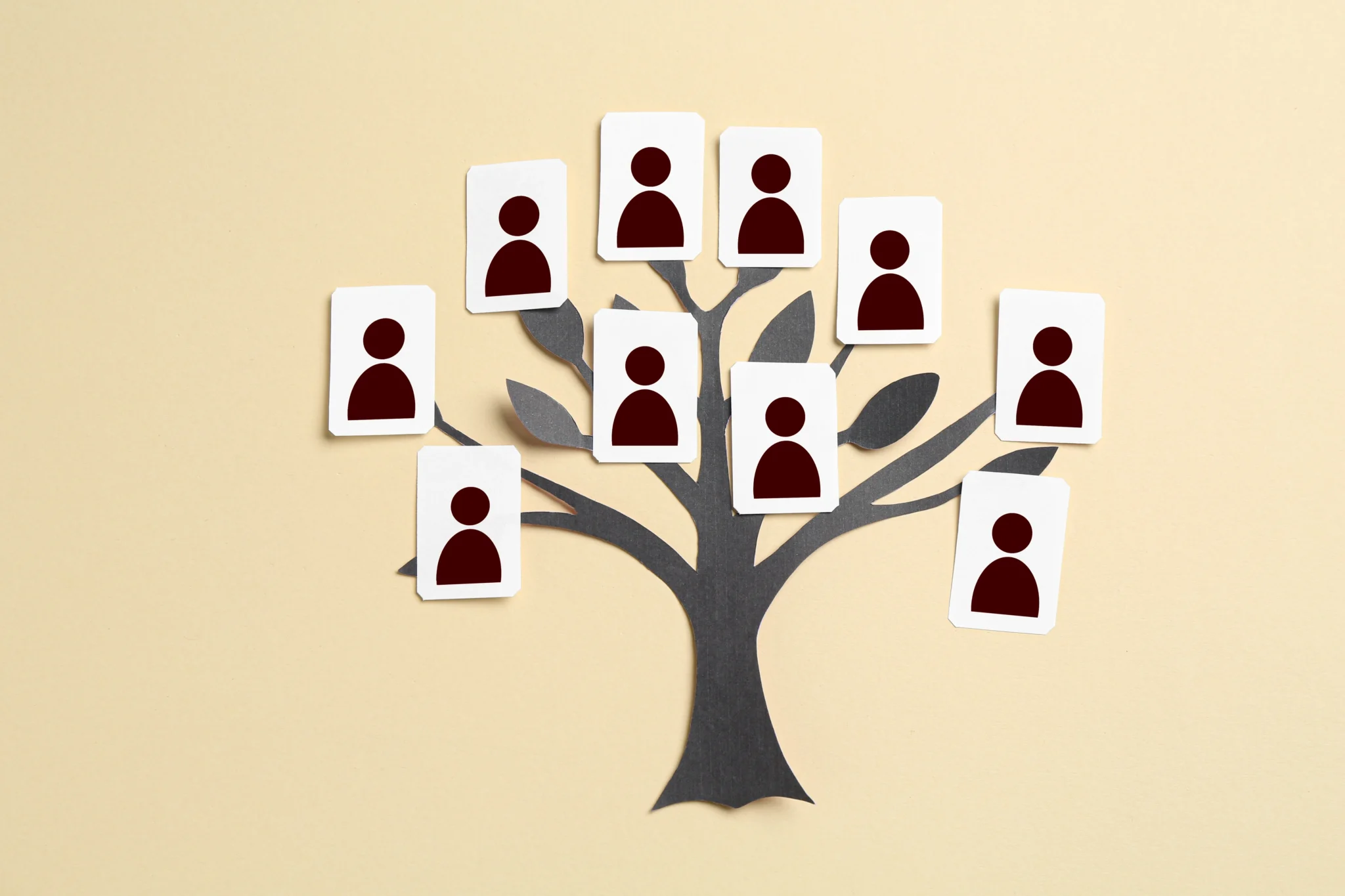família estruturada: um conceito mal compreendido