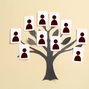 família estruturada: um conceito mal compreendido