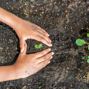 Dia mudial do meio ambiente e da ecologia