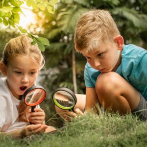 10 experimentos de Ciências para o 3º ano do Ensino Fundamental